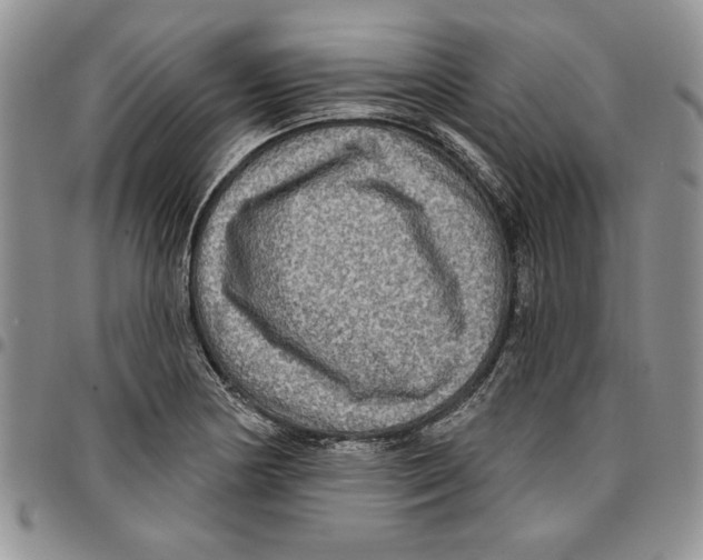 X0000096661178200803041154