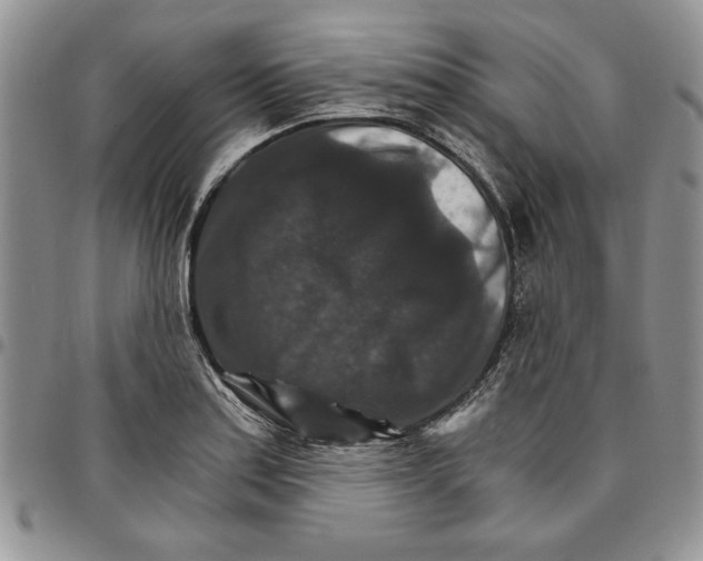 X0000096661179200803041154