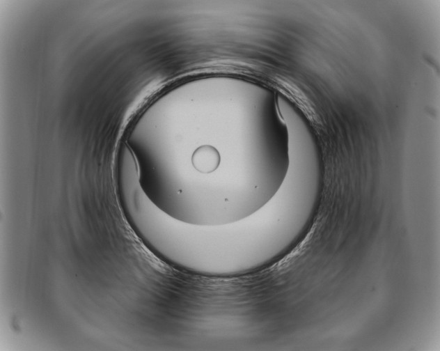 X0000096661180200803041154