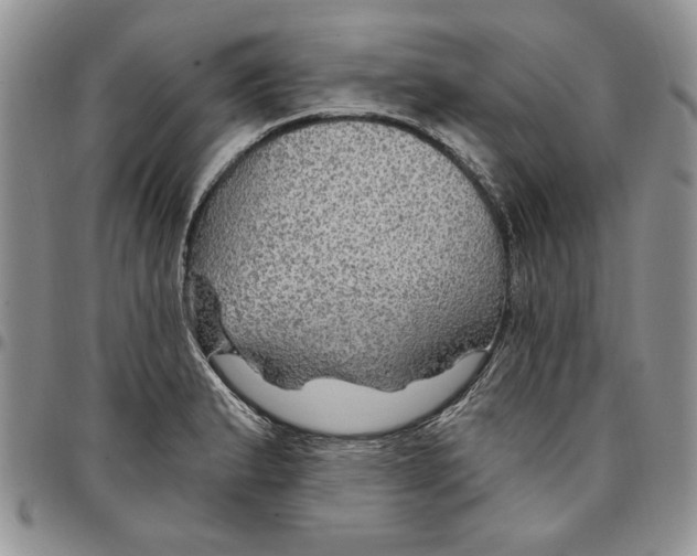 X0000096661183200803041154