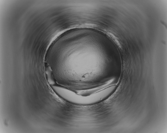 X0000096661184200803041154