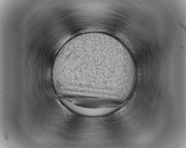 X0000096661185200803041154