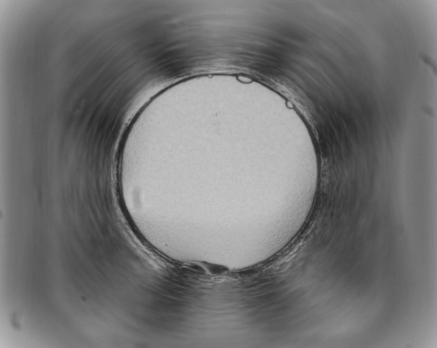 X0000096661187200803041154