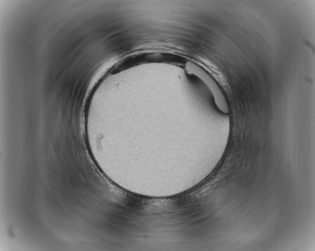 X0000096661188200803041154