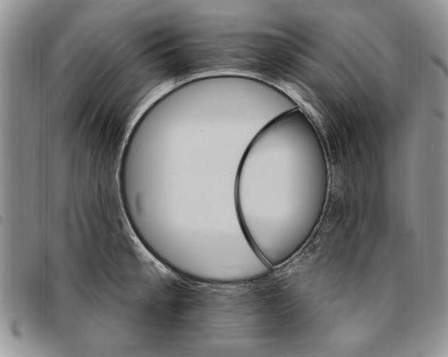 X0000096661189200803041154