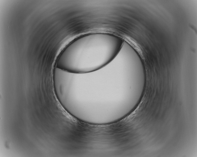 X0000096661192200803041154