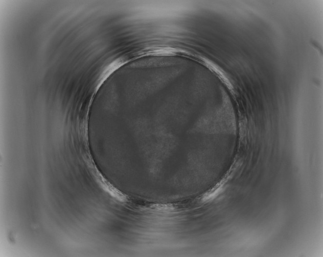 X0000096661194200803041154