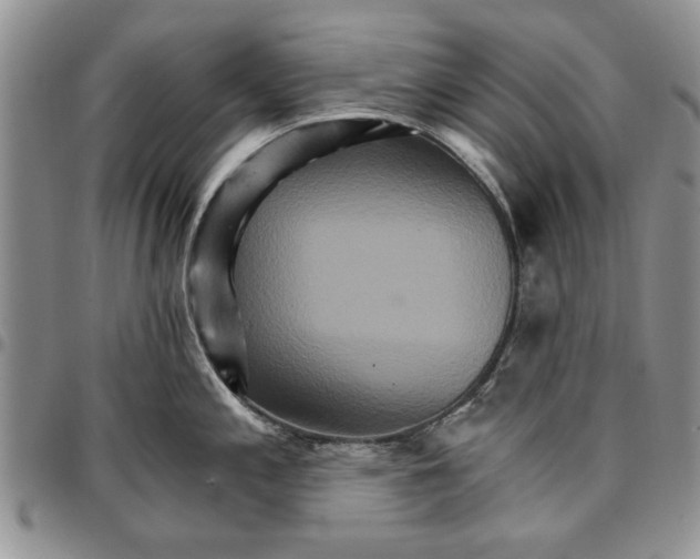 X0000096661197200803041154