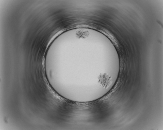 X0000096661198200803041154