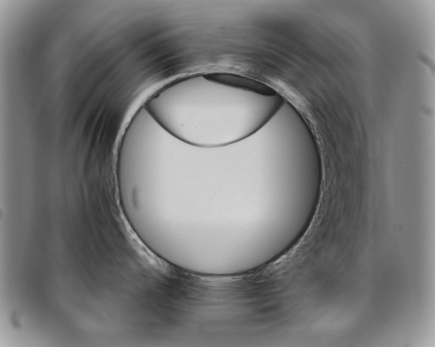 X0000096661200200803041154