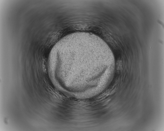 X0000096661202200803041153