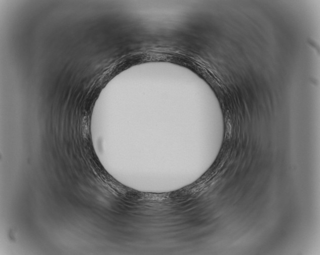 X0000096661204200803041153