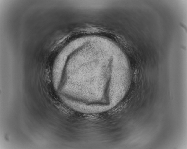 X0000096661205200803041153