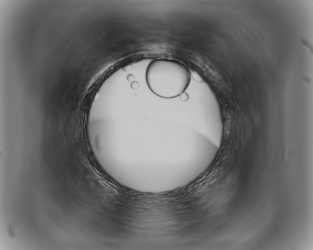 X0000096661208200803041153