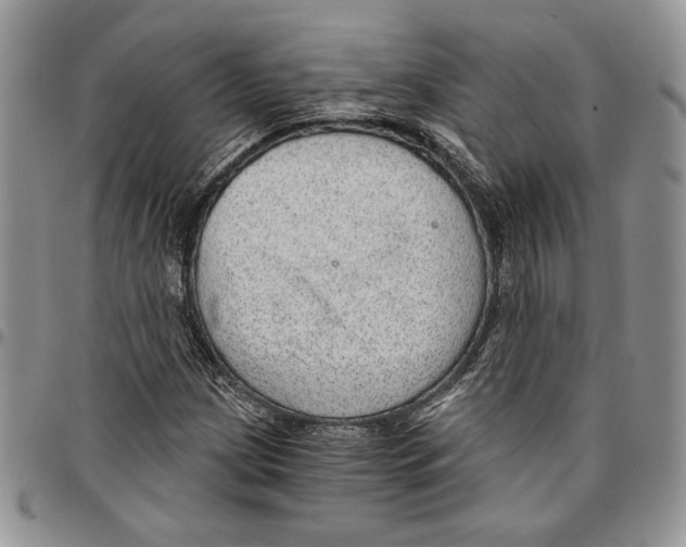 X0000096661209200803041154