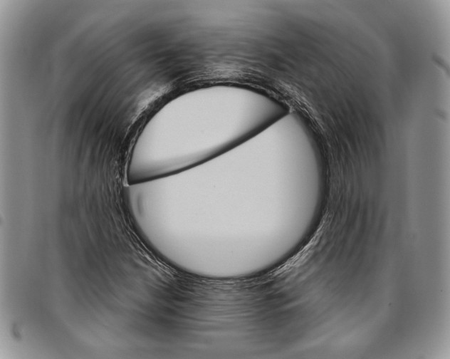 X0000096661210200803041154