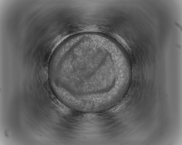 X0000096661212200803041154