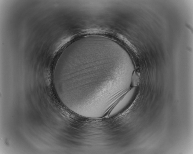 X0000096661213200803041154