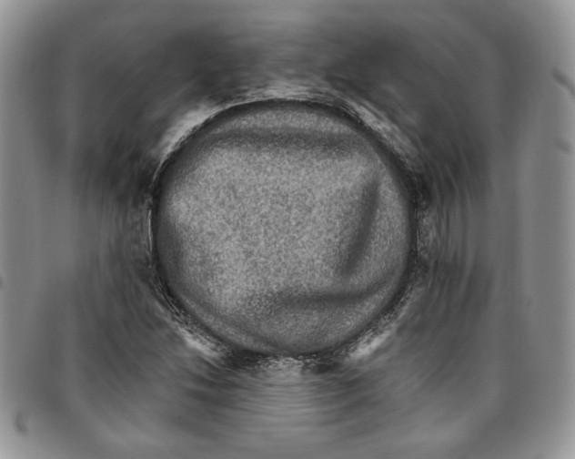 X0000096661214200803041154