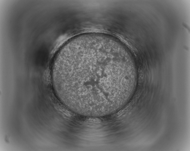 X0000096661215200803041154