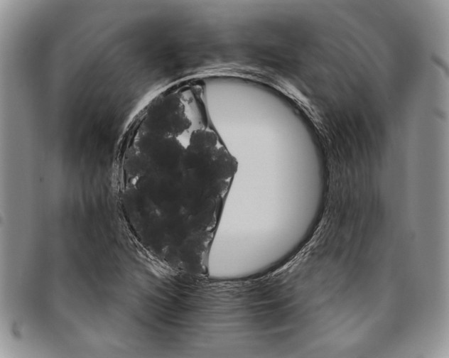 X0000096661216200803041154