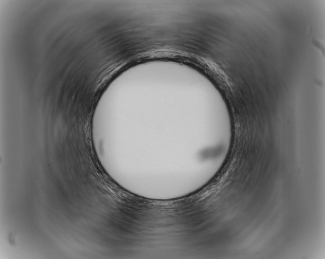 X0000096661217200803041154