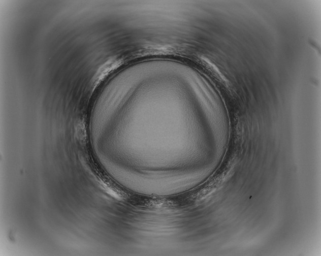 X0000096661218200803041154