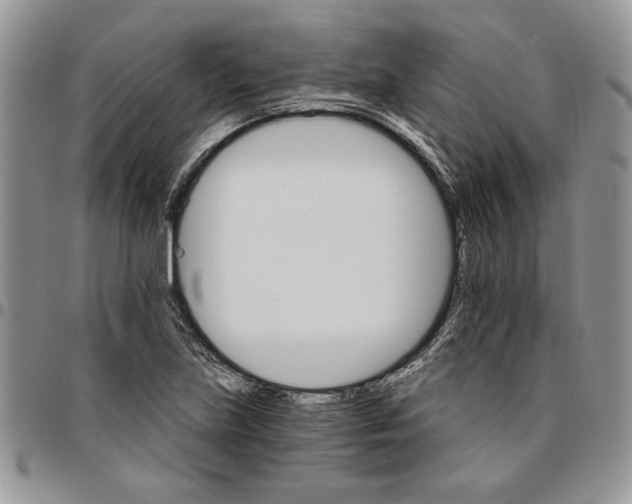 X0000096661219200803041154