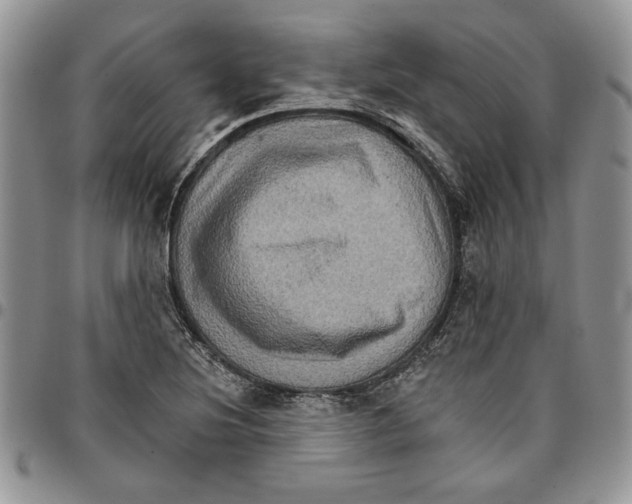 X0000096661220200803041154