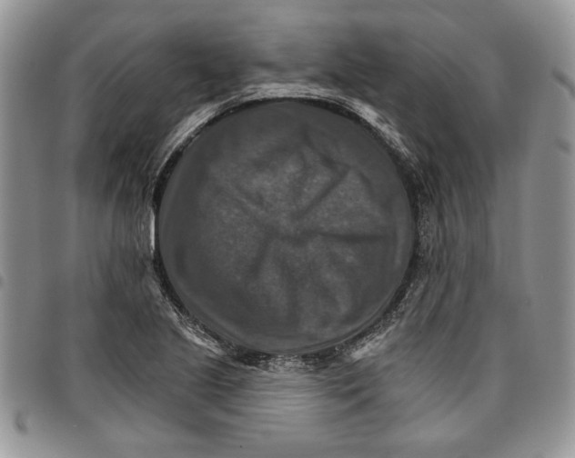 X0000096661221200803041154