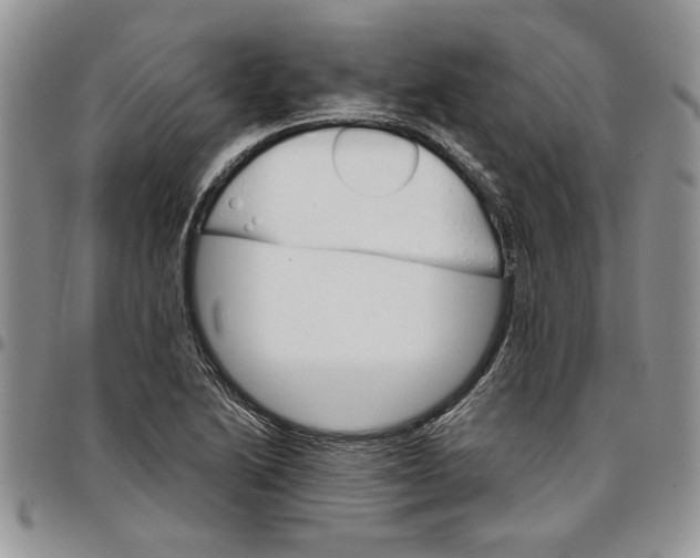 X0000096661222200803041154