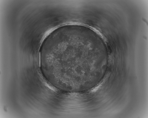 X0000096661223200803041154