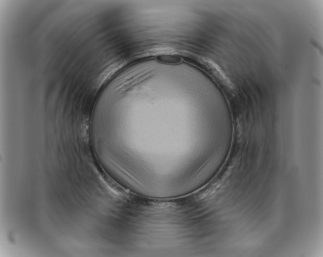 X0000096661225200803041154