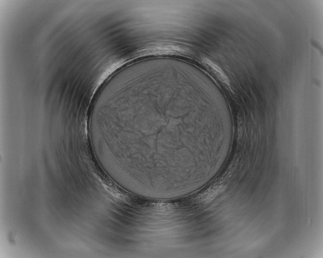 X0000096661226200803041154