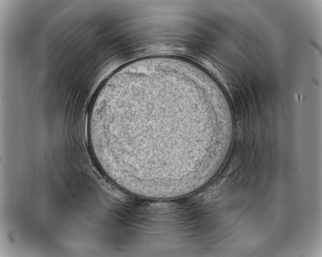 X0000096661227200803041154