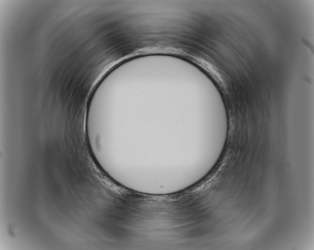 X0000096661228200803041154