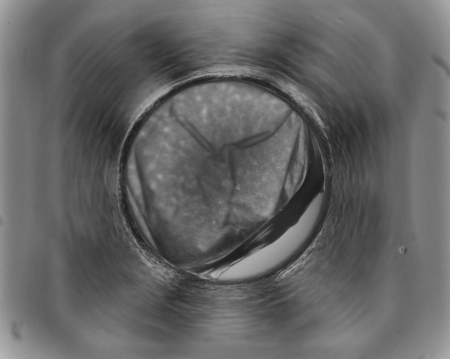 X0000096661229200803041154