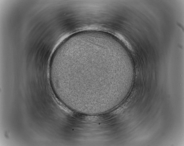 X0000096661232200803041154