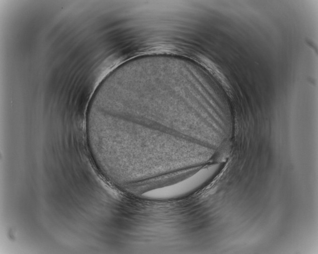 X0000096661234200803041154