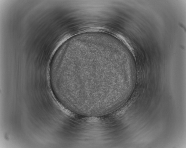 X0000096661235200803041154