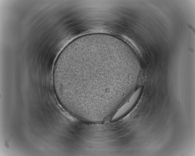 X0000096661236200803041154