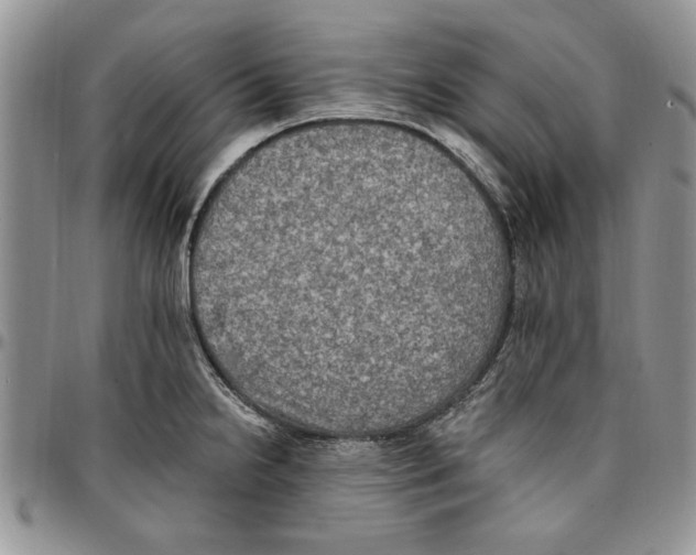 X0000096661238200803041154