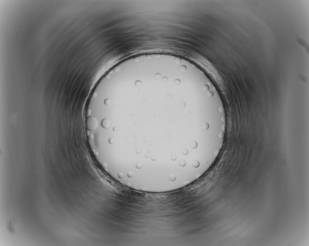 X0000096661242200803041154