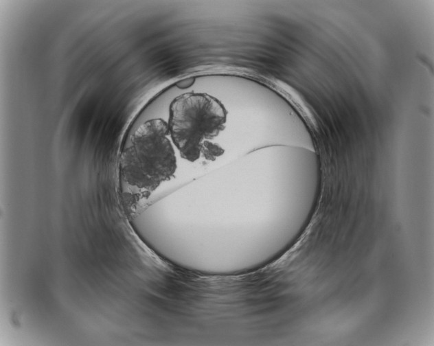 X0000096661244200803041154