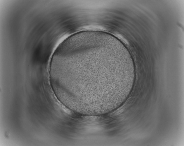 X0000096661248200803041154