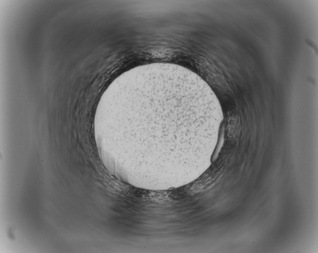 X0000096661249200803041153