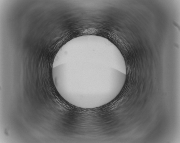 X0000096661250200803041153