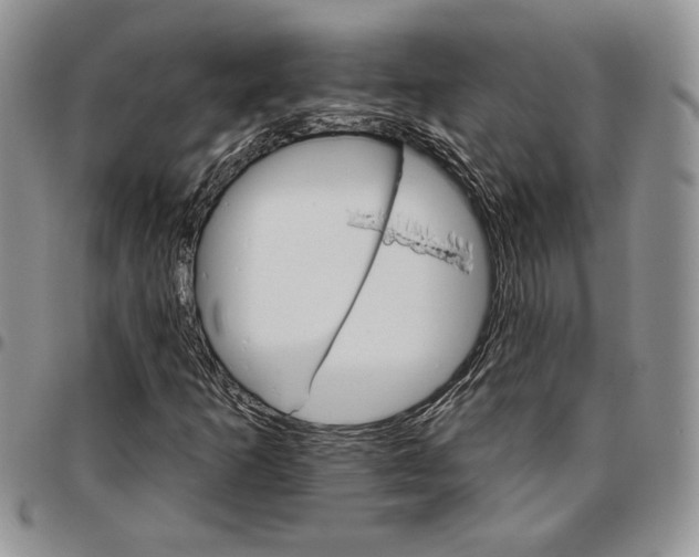 X0000096661253200803041153