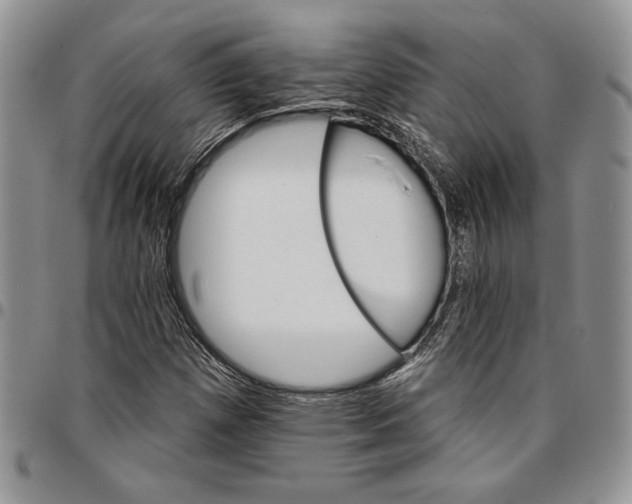 X0000096661257200803041153