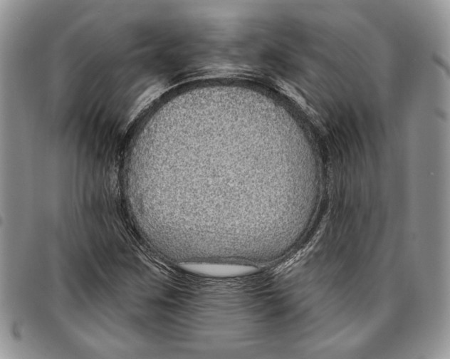 X0000096661259200803041153